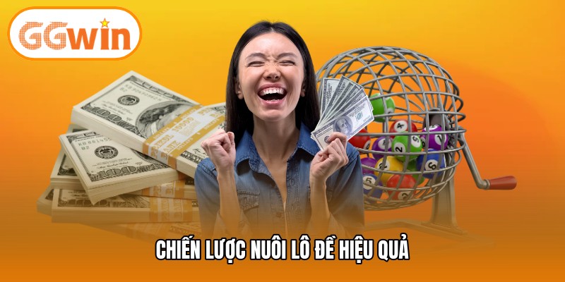 Chiến lược nuôi lô đề hiệu quả