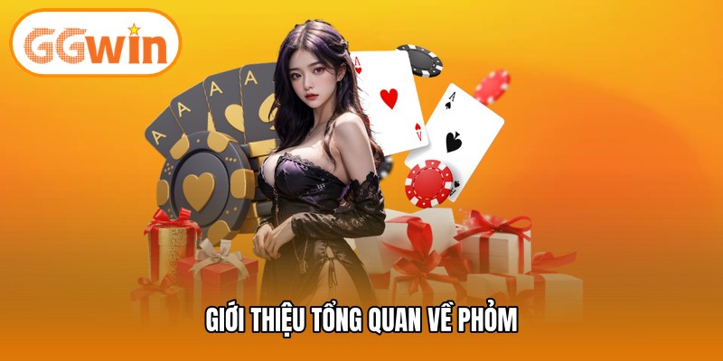 Giới thiệu tổng quan về phỏm