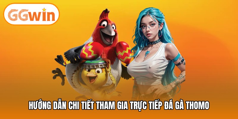 Hướng dẫn chi tiết tham gia trực tiếp đá gà thomo