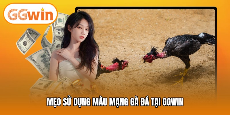 Mẹo sử dụng màu mạng gà đá tại GGWIN