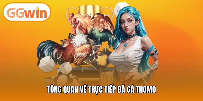 Tổng quan về trực tiếp đá gà thomo