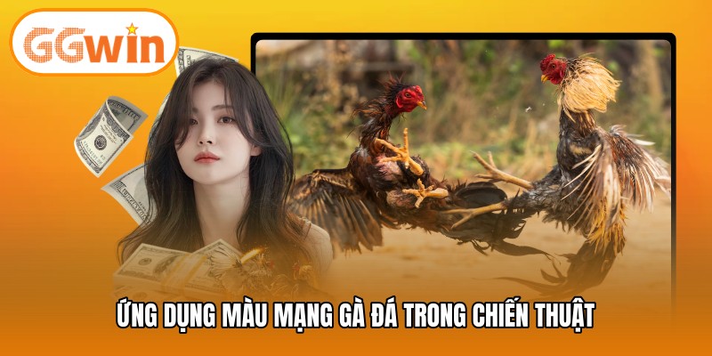 Ứng dụng màu mạng gà đá trong chiến thuật